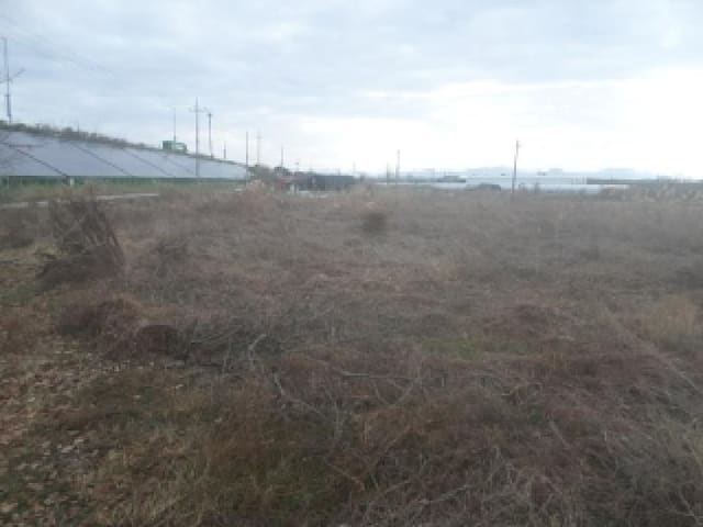 B000520202501300320331.jpg