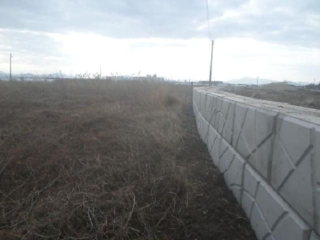 B000520202501300320334.jpg