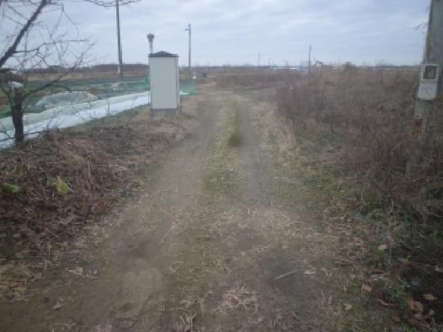 B000520202501300320333.jpg