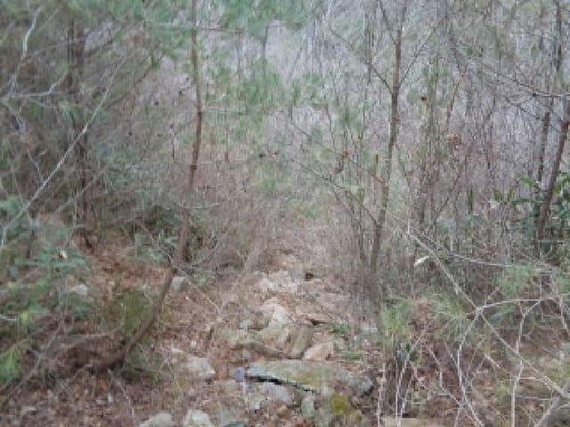 B000520202501300320624.jpg
