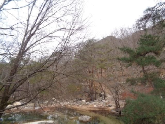 B000520202501300320621.jpg