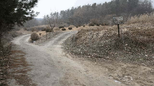 B000520202501300321114.jpg