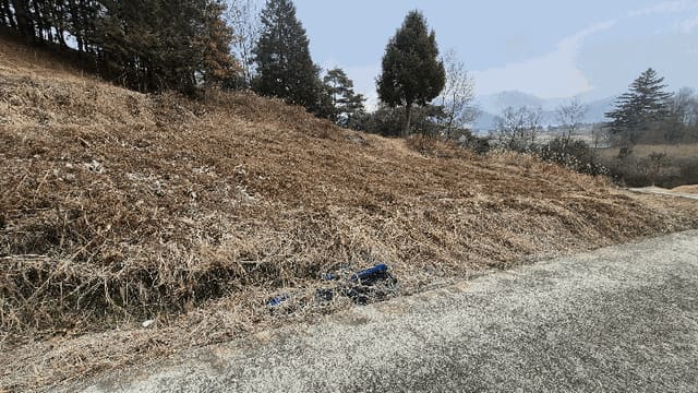 B000520202501300321112.jpg