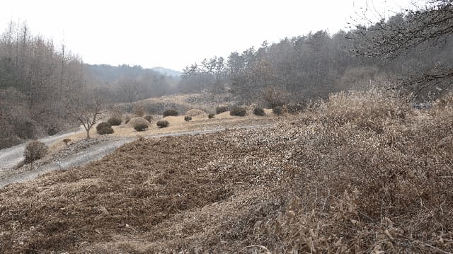 B000520202501300321113.jpg