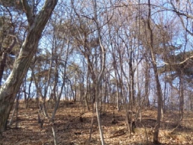 B000520202601300000044.jpg
