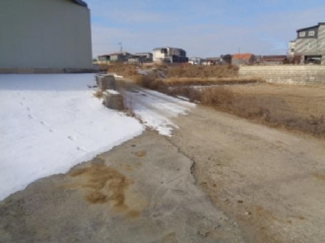 B000520202601300000463.jpg