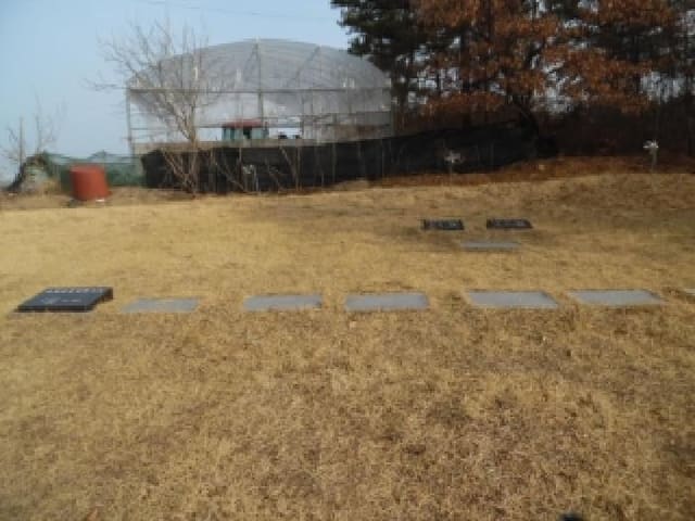 B000520202601300000702.jpg