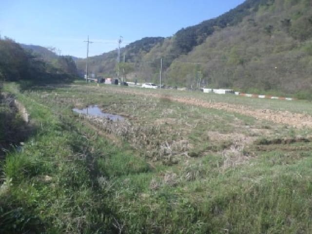 B000520202601300000993.jpg