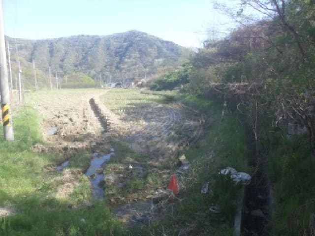 B000520202601300000991.jpg