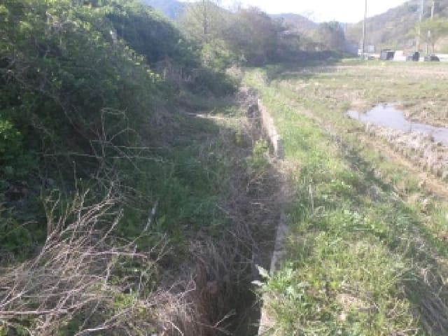 B000520202601300000994.jpg