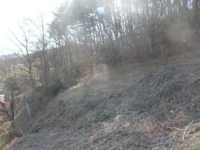 B000520202601300001494.jpg