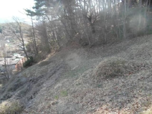 B000520202601300001491.jpg
