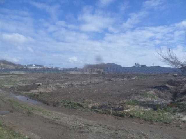 B000520202601300001504.jpg