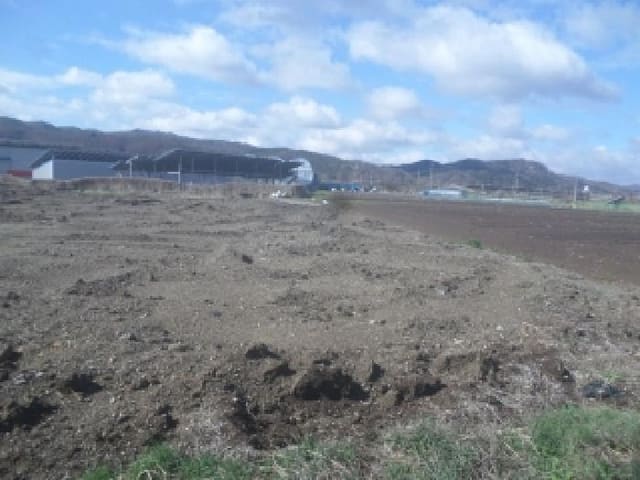 B000520202601300001502.jpg