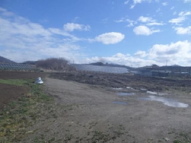 B000520202601300001501.jpg