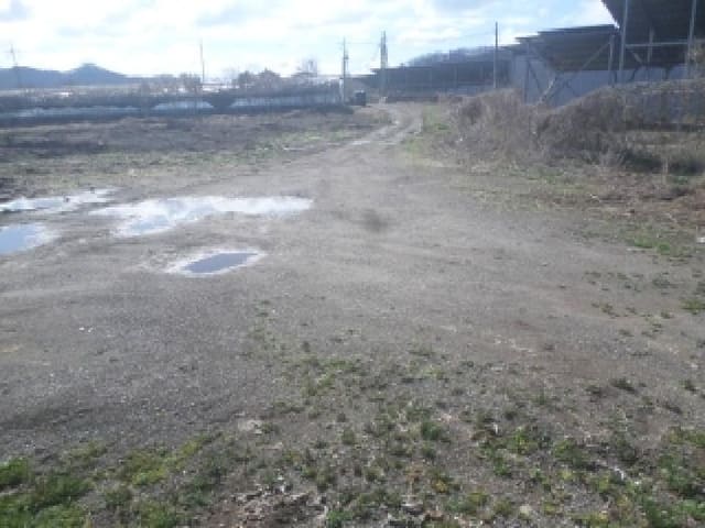 B000520202601300001503.jpg