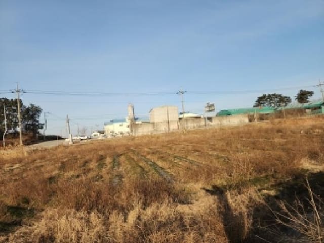 B000520202601300300473.jpg