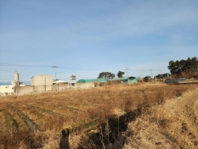 B000520202601300300474.jpg