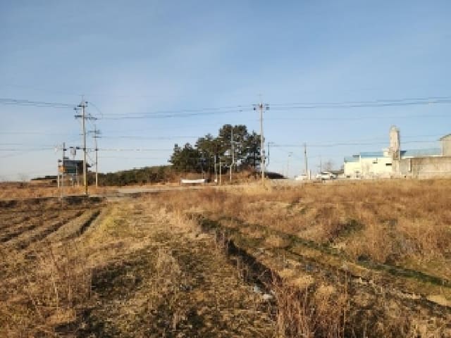 B000520202601300300471.jpg