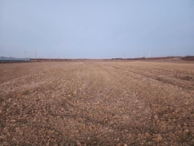 B000520202601300300913.jpg