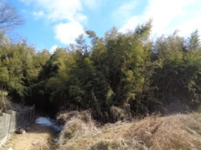 B000520202601300300964.jpg