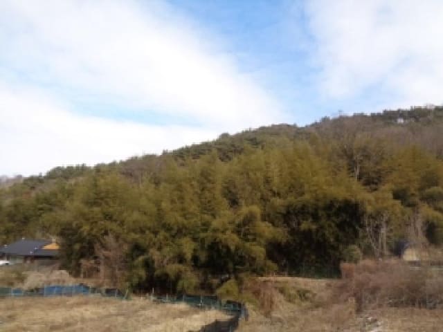 B000520202601300300963.jpg