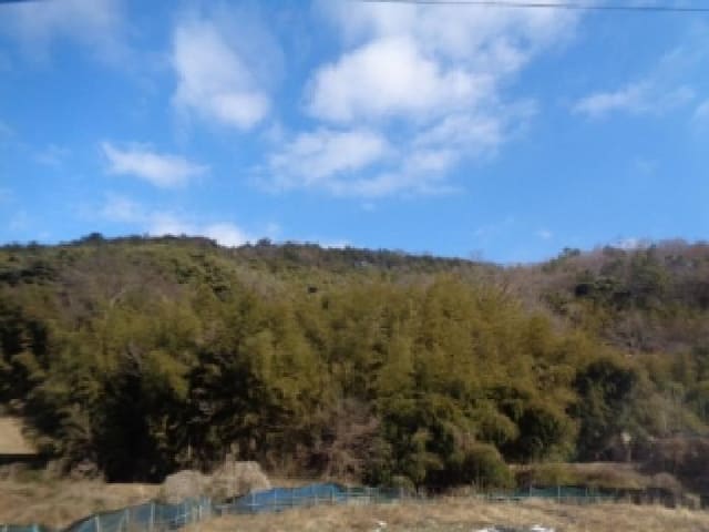 B000520202601300300962.jpg