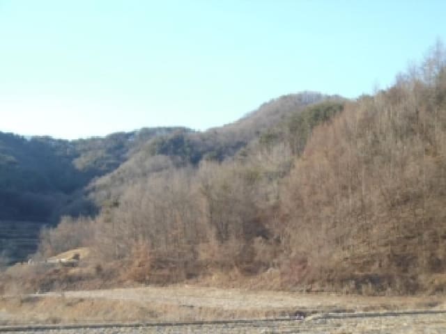 B000520202601300301091.jpg