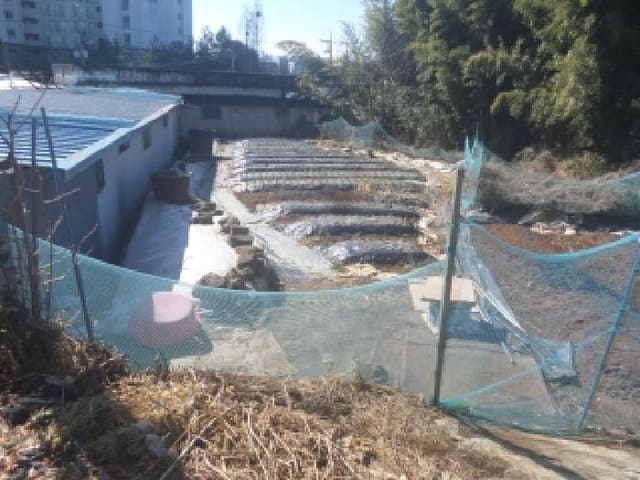 B000520202601300301481.jpg