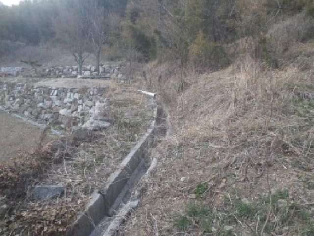 B000520202601300301774.jpg