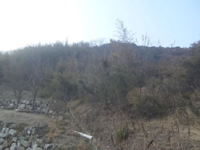 B000520202601300301773.jpg