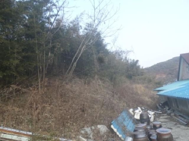 B000520202601300301771.jpg