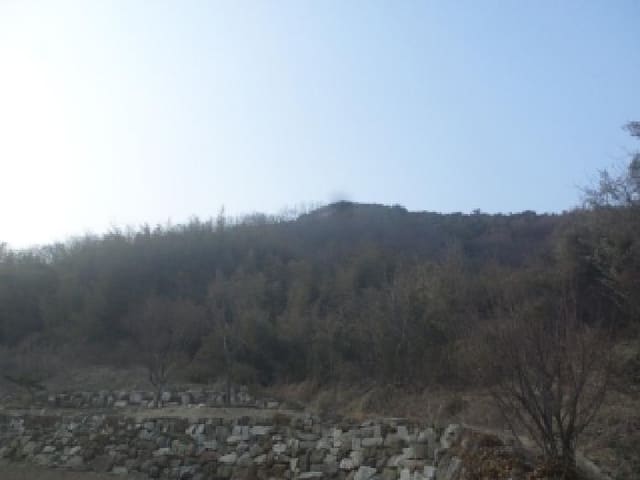 B000520202601300301772.jpg