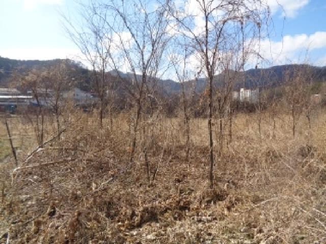 B000520202601300302004.jpg