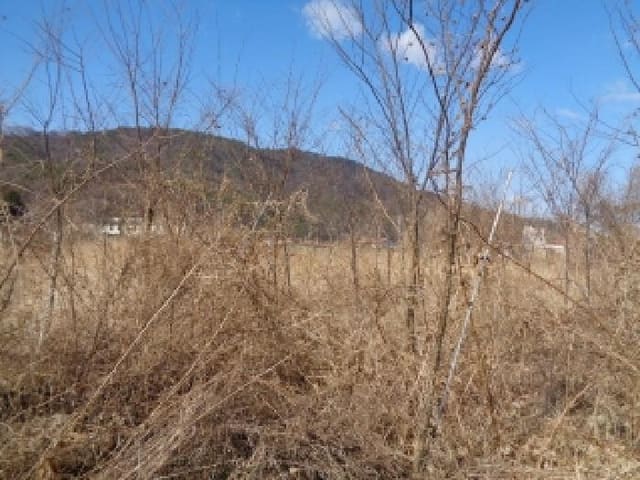 B000520202601300302001.jpg