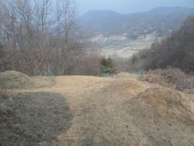 B000520202601300302122.jpg