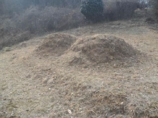 B000520202601300302124.jpg