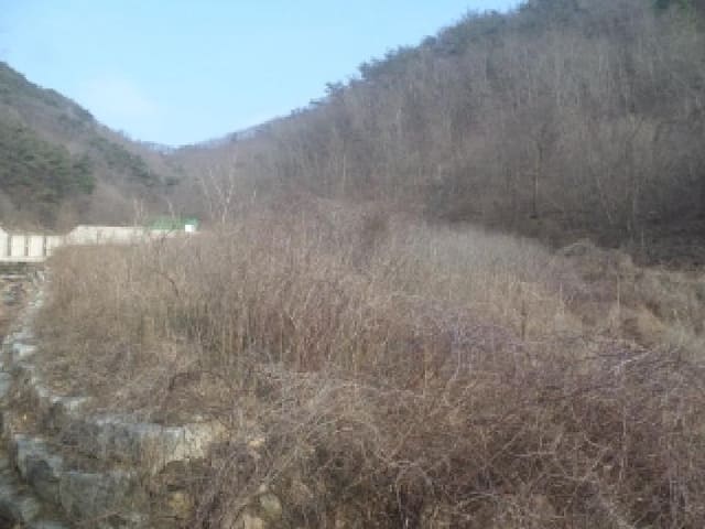 B000520202601300302193.jpg