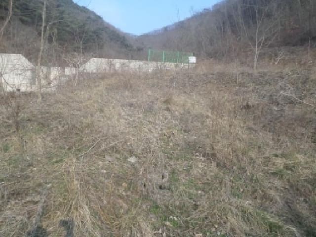 B000520202601300302194.jpg