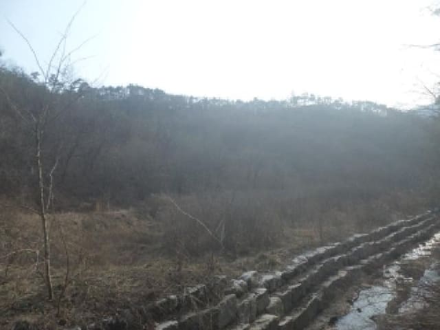 B000520202601300302191.jpg