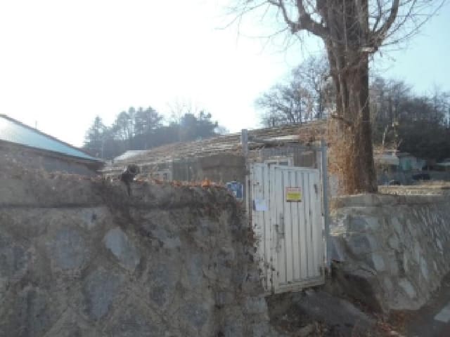 B000520202601300302381.jpg