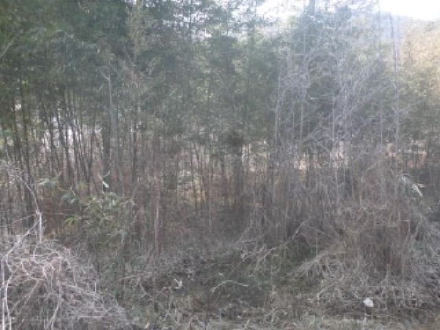 B000520202601300302413.jpg