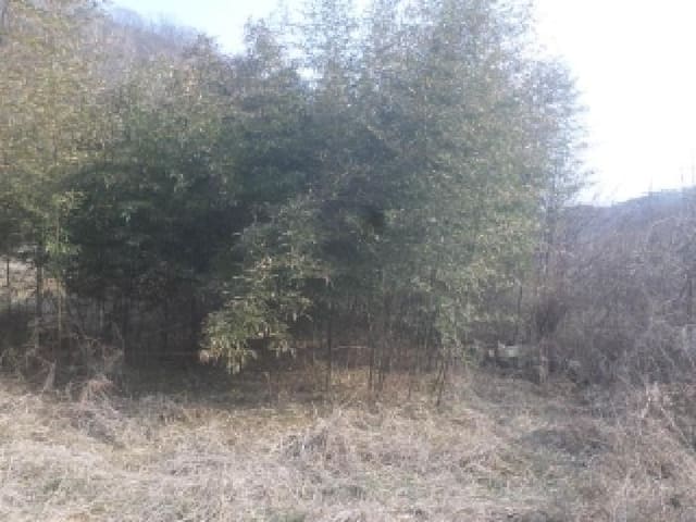 B000520202601300302412.jpg