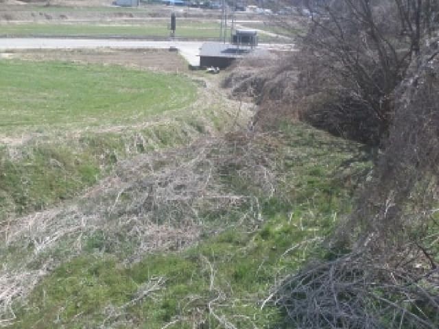B000520202601300302581.jpg