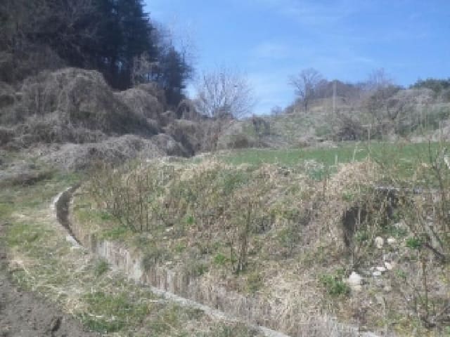 B000520202601300302583.jpg
