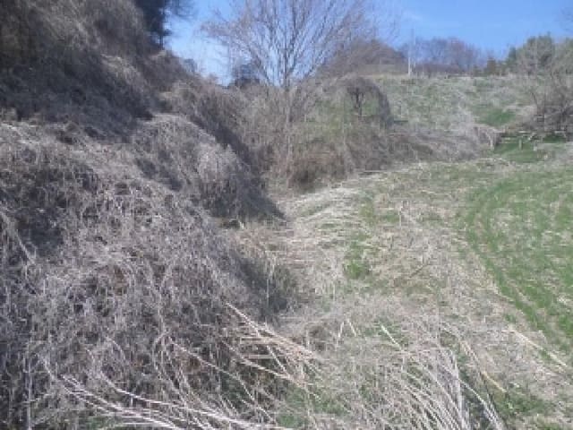 B000520202601300302584.jpg