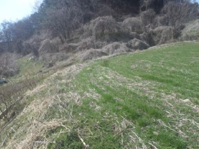B000520202601300302582.jpg