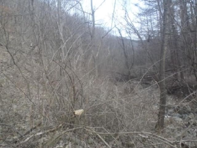 B000520202601300302743.jpg