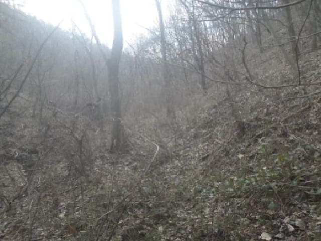 B000520202601300302742.jpg