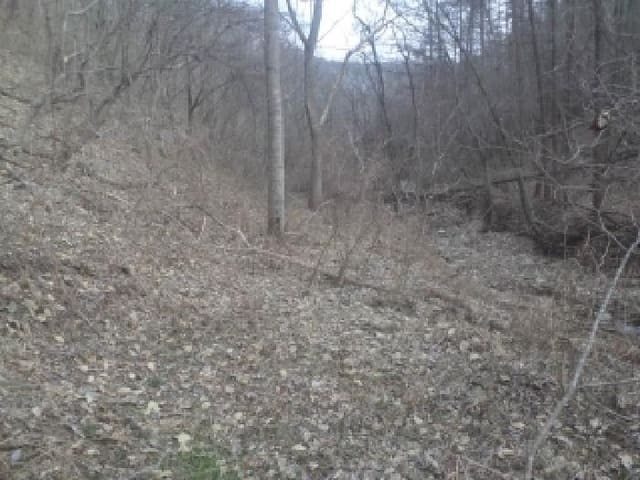 B000520202601300302744.jpg